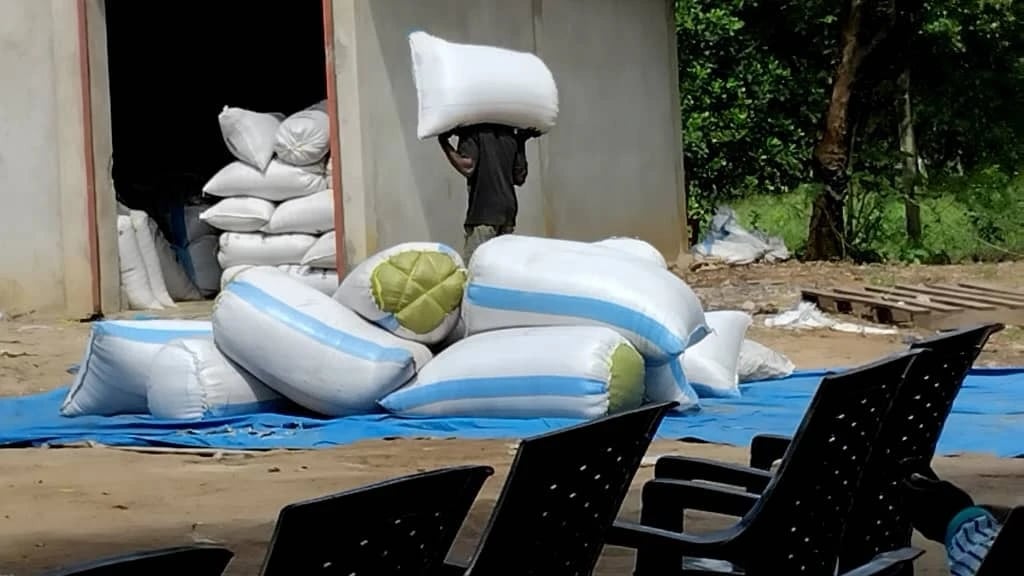 Wakulima wa Ufuta Pwani Watabasamu, Wavuna Bilioni 40 Kwenye Minada Minne