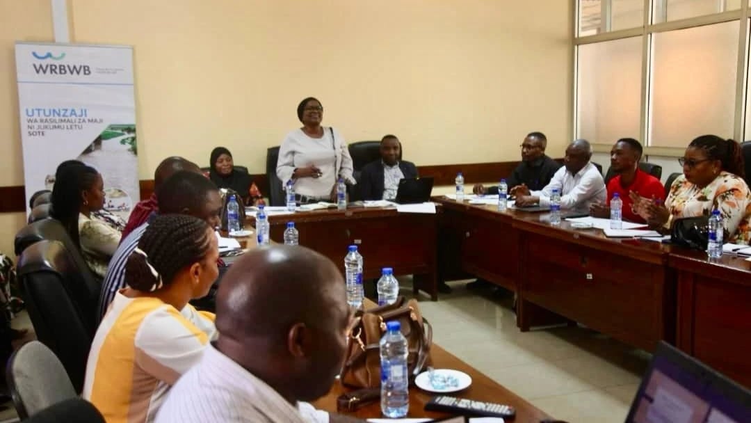 Dar es Salaam: Mkakati Kabambe Wawekwa Kuinusuru Mito, Mto Mpiji Kipaumbele