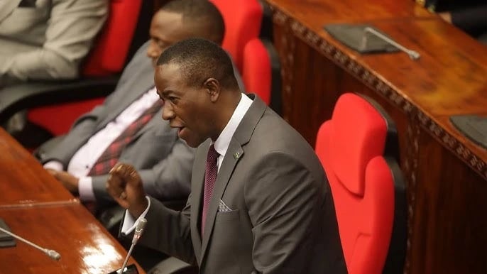 Wawekezaji Wasiozalisha Wako Hatarini: Mwanyika Ashauri Serikali Kuchukua Mashamba Yao