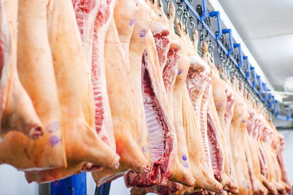 Bodi ya Nyama Yawapa Onyo Wamiliki wa Bucha za Kitimoto Mbeya: Usafi Kwanza!