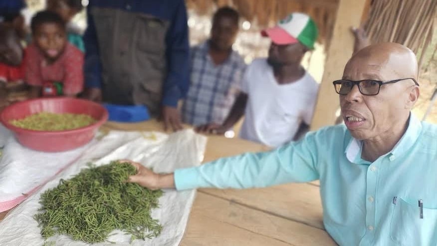 Faida Mara Mbili Mvomero: Hifadhi Mazingira kwa Miti, Vuna Pesa kwa Zao la Viungo