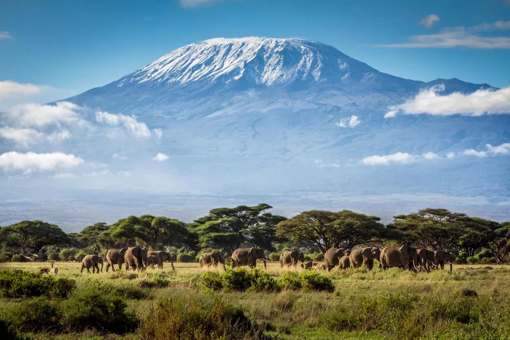 Simanzi Katika 'Paa la Afrika': Watu Watano Wapoteza Maisha kwenye Ajali ya Helikopta Mlima Kilimanjaro