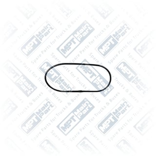 2.CS.0029 Thermostat, Gasket