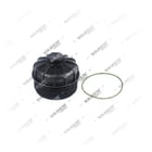 2045780,2052855, 2045780 SCANIA Cubierta, Filtro de combustible, Vaden