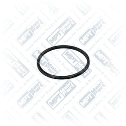 41.CP.0035 - Kaliper Perno, Piston