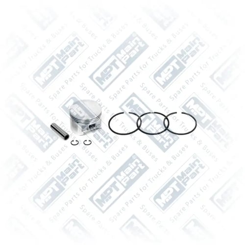 Piston & Segman