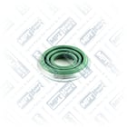 26.CP.0048 | Kaliper İtenek, Toz Körüğü