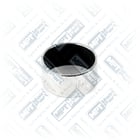 22.CP.0072 | Clavija Pinza, Signo del Zodiaco