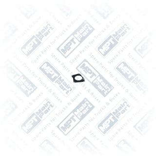 3.LP.0300