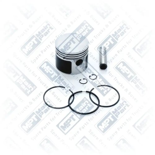 Piston & Segman