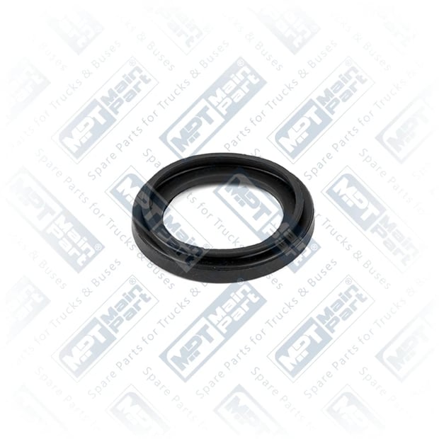 1) , 41.CP.0034 Kaliper Perno, Piston, MPT Main Part