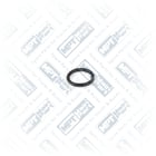 41.CP.0101 | Mecanismo de pinza, Oring