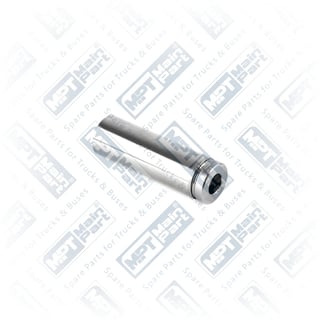 23.CP.0009 Bremssattel Stift, Stift