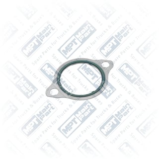 1.EN.0034 Wasserpumpe, Dichtung
