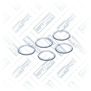 23.CP.0325 Brake Caliper Cover, Seal