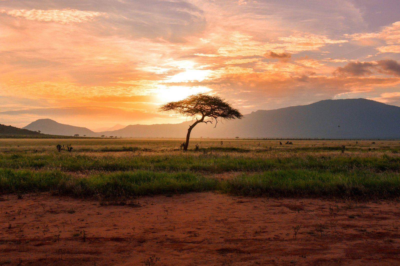 Kenia