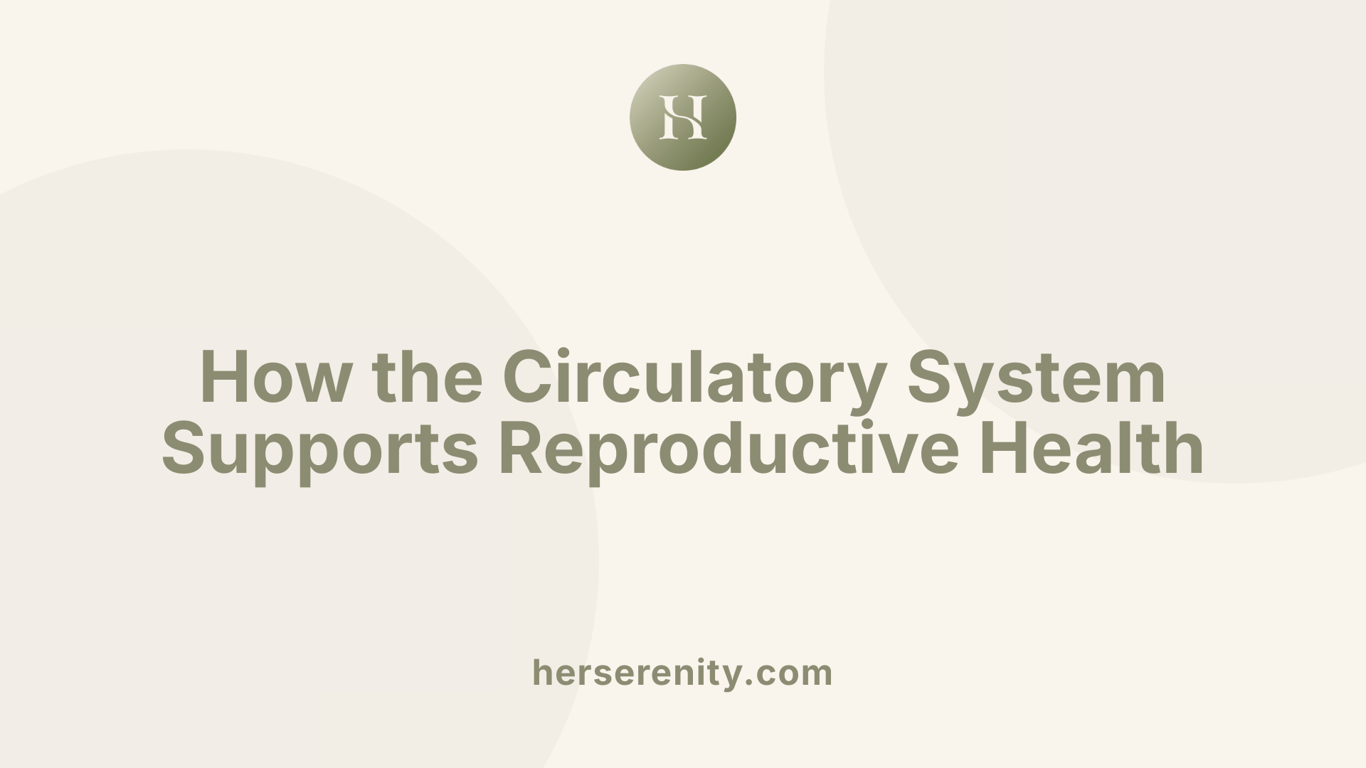 How the Circulatory System Supports Reproductive Health