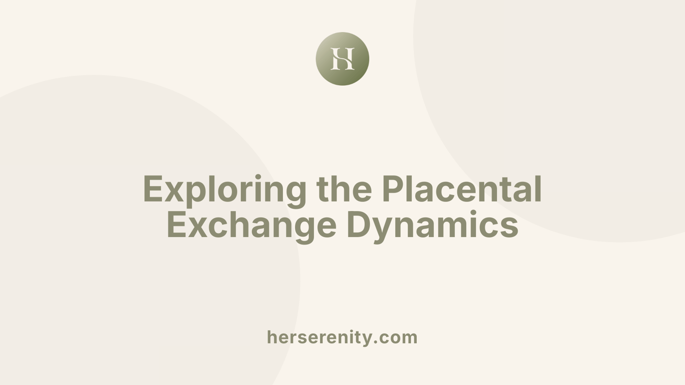Exploring the Placental Exchange Dynamics