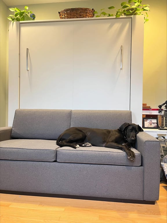 Wall Bed Sofa 2