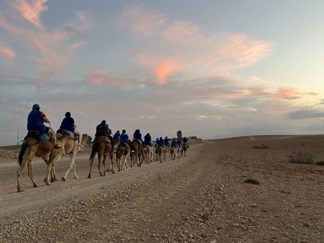 Camel Ride in Agafay