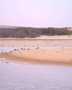 Souss-Massa National Park 1