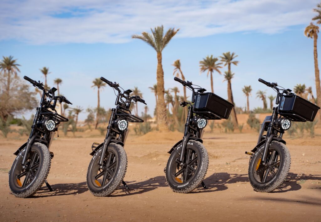 Off-Road E-Bike Palmeraie & Sunset Adventure in Marrakech