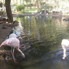 Vallée des Oiseaux 2