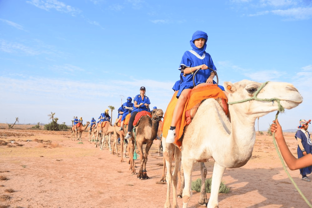 Camel Ride in Marrakech (Palm Grove)