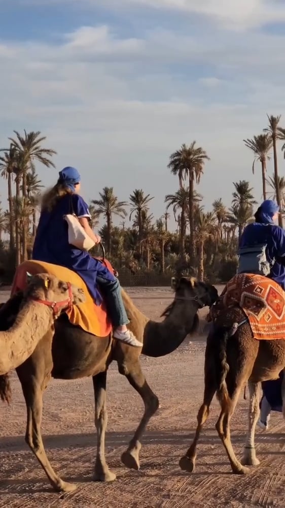 Camel Ride in Marrakech (Palm Grove)