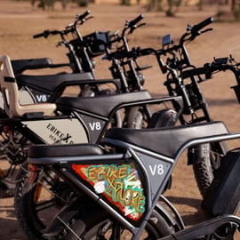 Tour de Marrakech en Vélo Électrique