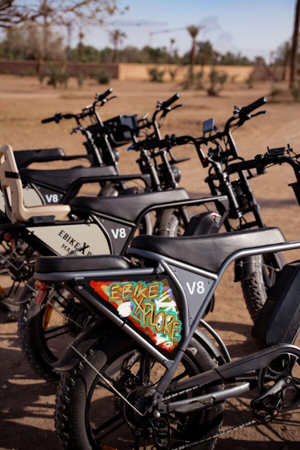 E-Bike City Tour in Marrakech