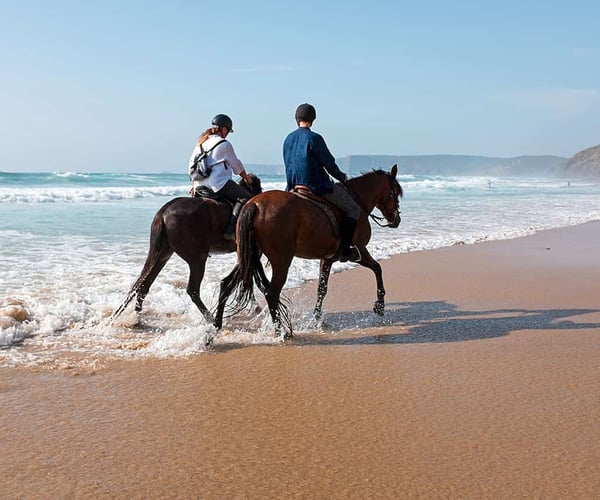 Horse Riding in Agadir