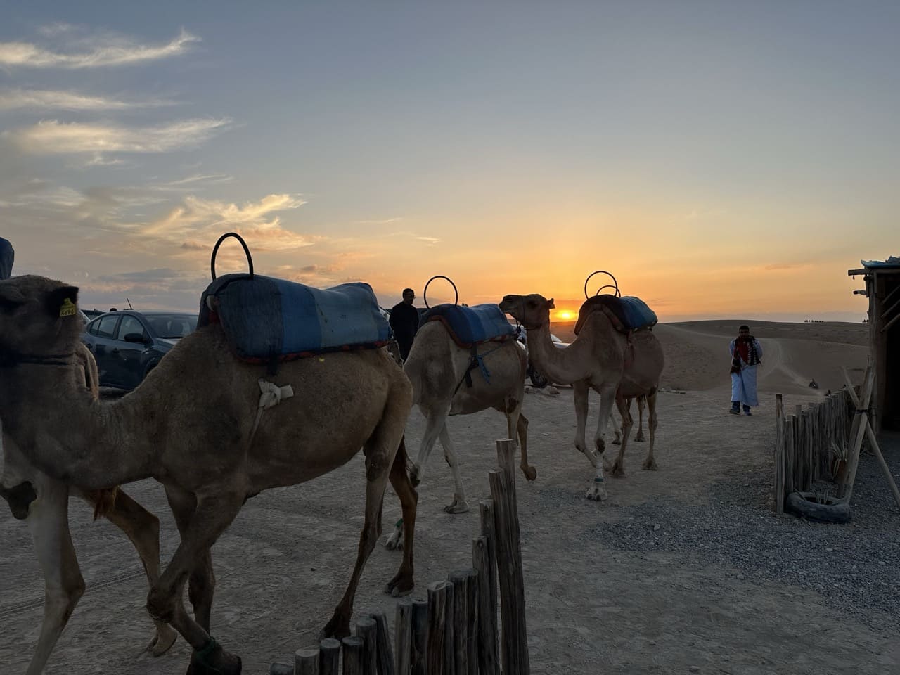 Camel Ride in Agafay
