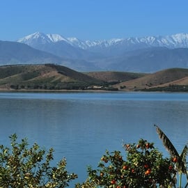 From Marrakesh: Lalla Takerkoust Lake - Private Day Trip