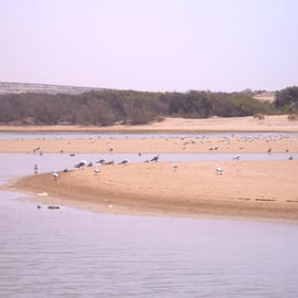 Souss-Massa National Park 2