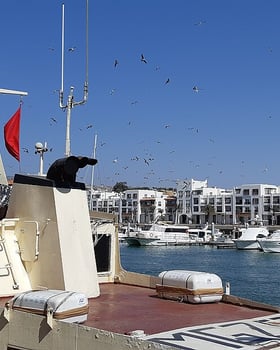 Agadir Marina 4