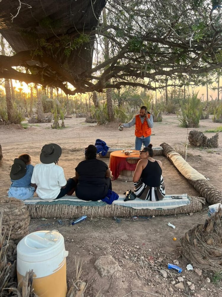 Off-Road E-Bike Palmeraie & Sunset Adventure in Marrakech