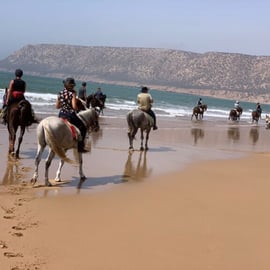 Horse riding in Essaouira