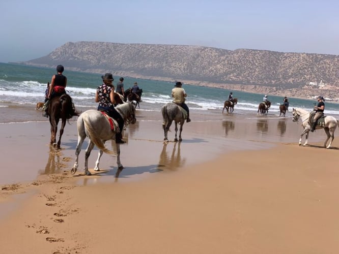 ركوب الخيل في الصويرة