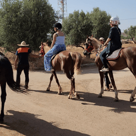 Horse riding in Fez