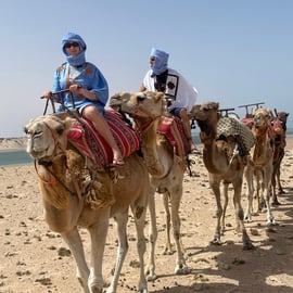 Camel Ride in Dakhla