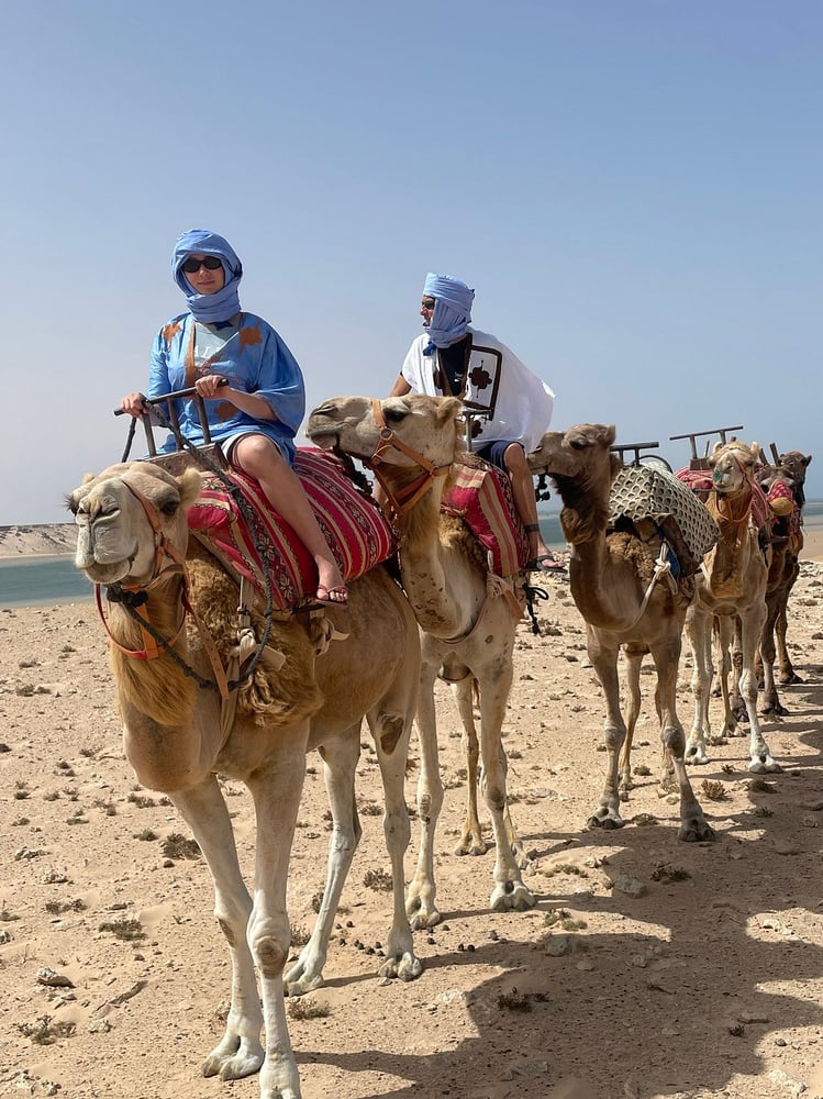 Camel Ride in Dakhla