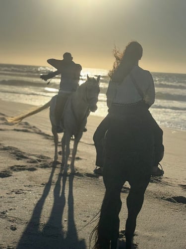 Horse Riding in Dakhla