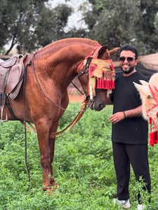 Balade à Cheval à Rabat