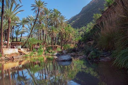Paradise Valley 2