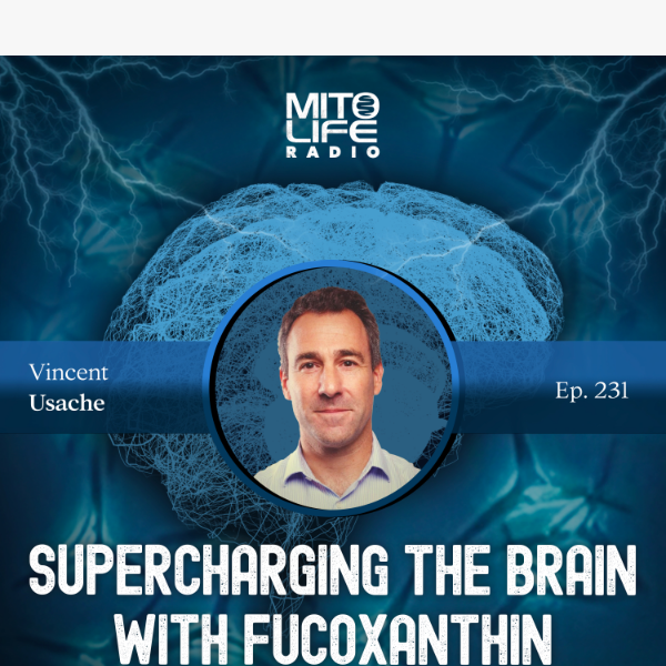 Supercharging the Brain with Fucoxanthin 🧠⚡