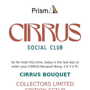 Cirrus Bouquet - Collectors Limited Edition Setup - LAST DAY