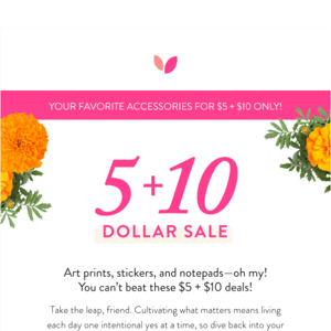 Celebrate little by little progress with $5 & $10 dollar deals!