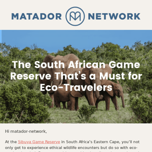 Planning a Trip to South Africa? Book This Safari.