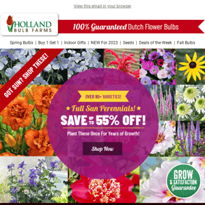 HOURS LEFT  🚩 Sun Perennials up to 55% OFF!